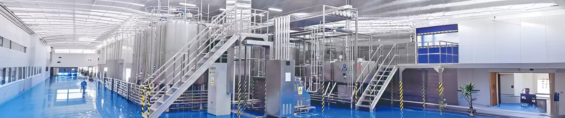 Các sản phẩm