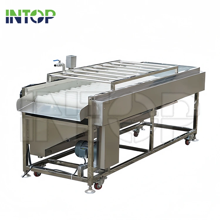 Máy giặt con lăn bàn chải trái cây và rau quả