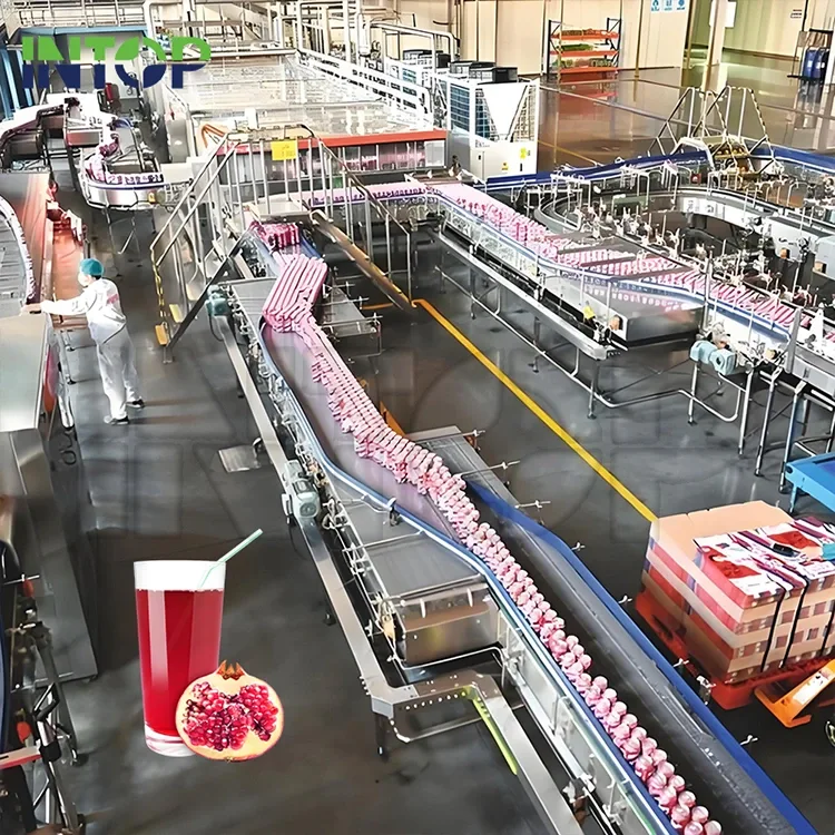 Dây chuyền sản xuất nước ép lựu